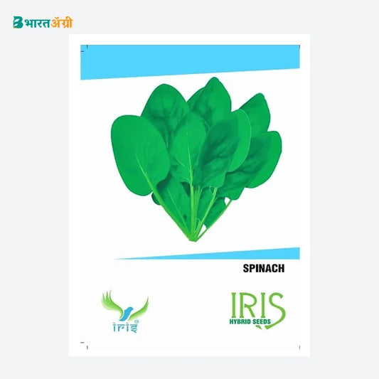 Iris Hybrid Vegetable Palak Seeds