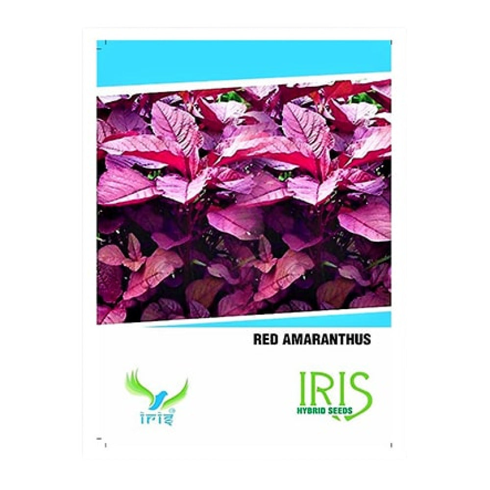 आईरिस हाइब्रिड सब्जी बीज चौलाई लाल | Iris Hybrid Vegetable Seeds Amaranthus Red