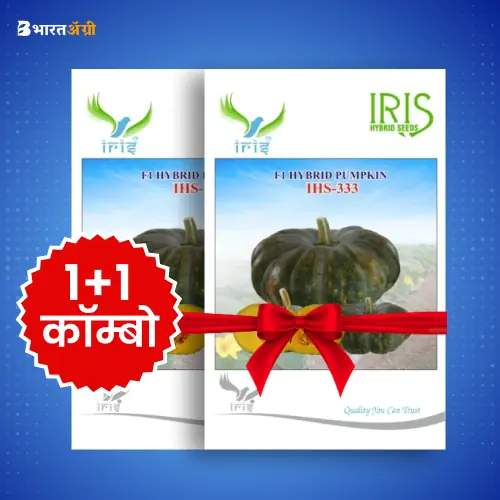 Iris IHS 333 F1 Pumpkin Seeds_1 | BharatAgri Krushidukan