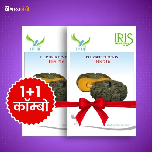 Iris IHS 716 F1 Pumpkin Seeds_1 | BharatAgri Krushidukan
