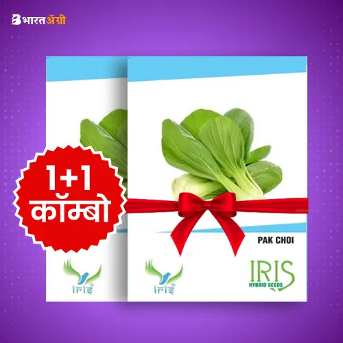 Iris Imported Pak Choi Vegetable Seeds_1 | BharatAgri Krushidukan