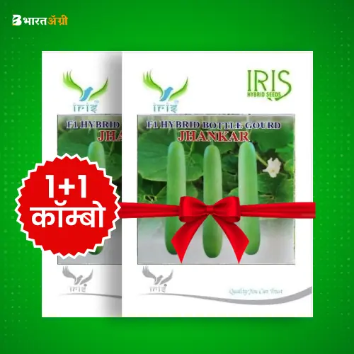 Iris Jhankar F1 Bottle Gourd Seeds (Long)_1 | BharatAgri Krushidukan