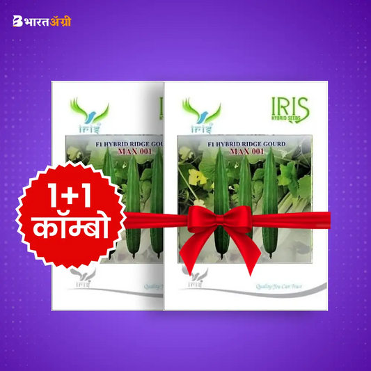 Iris Max 001 F1 Ridge Gourd Seeds_1 | BharatAgri Krushidukan