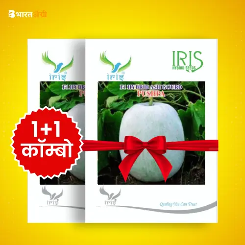 Iris Pushpa F1 Ash Gourd Seeds_1 | BharatAgri Krushidukan