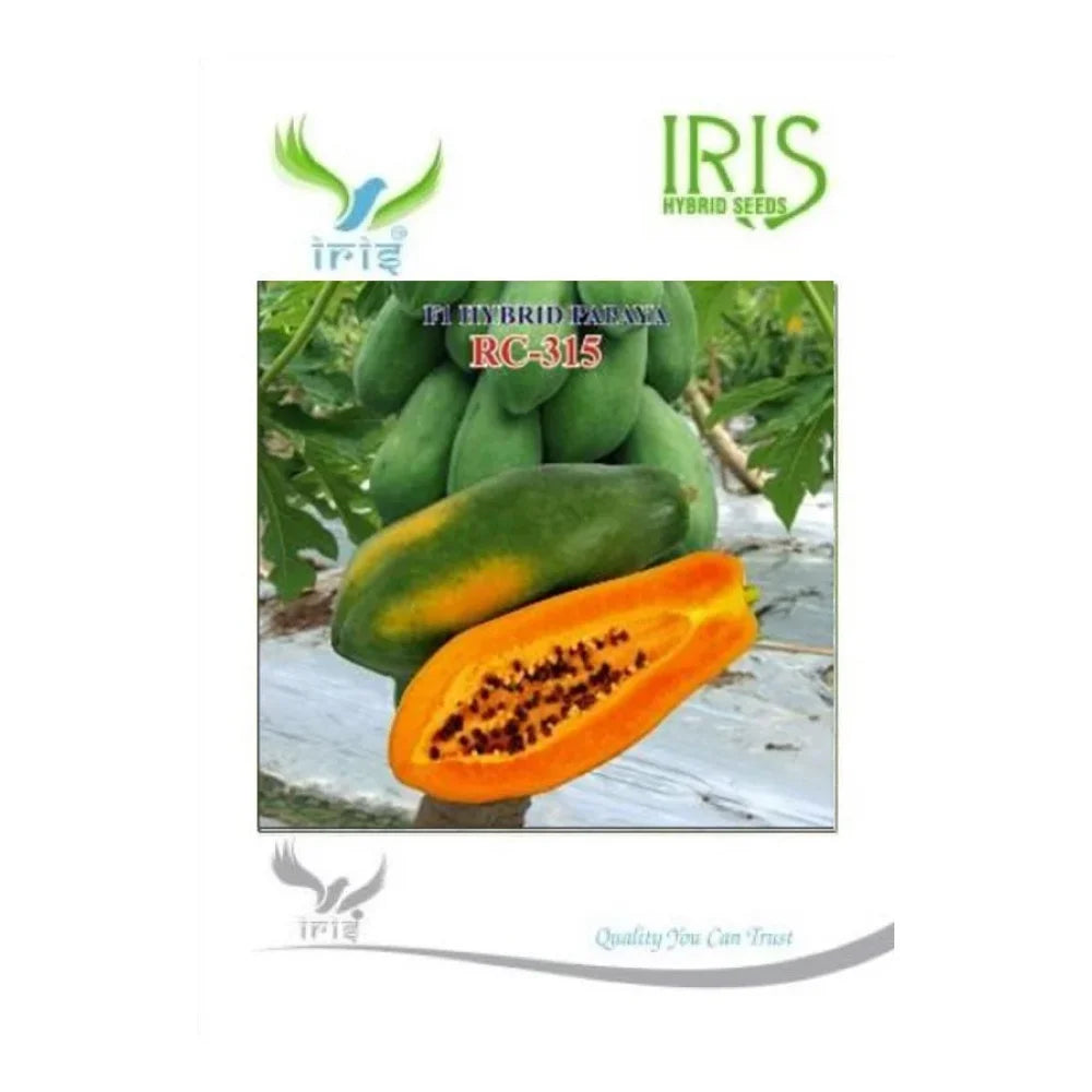 आइरिस आरसी 315 F1 पपीते के बीज | Iris RC 315 F1 Papaya Seeds