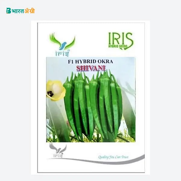 Iris Shivani F1 Okra Seeds (1+1 Free)