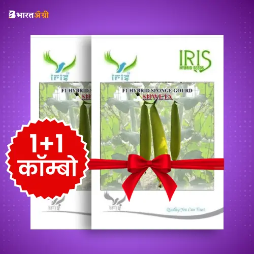 Iris Shweta F1 Sponge Gourd Seeds_1 | BharatAgri Krushidukan