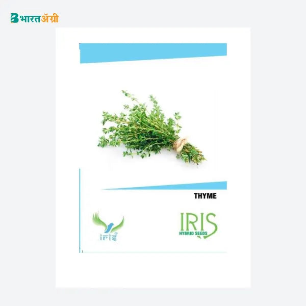 Iris Imported Thyme Herb Seeds_2 | BharatAgri Krushidukan