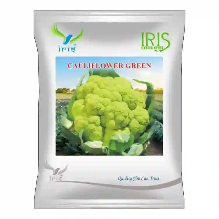 Iris F1 Hybrid Green Cauliflower Seeds