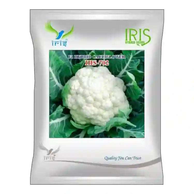 Iris F1 Hybrid IHS-702 Cauliflower Seeds