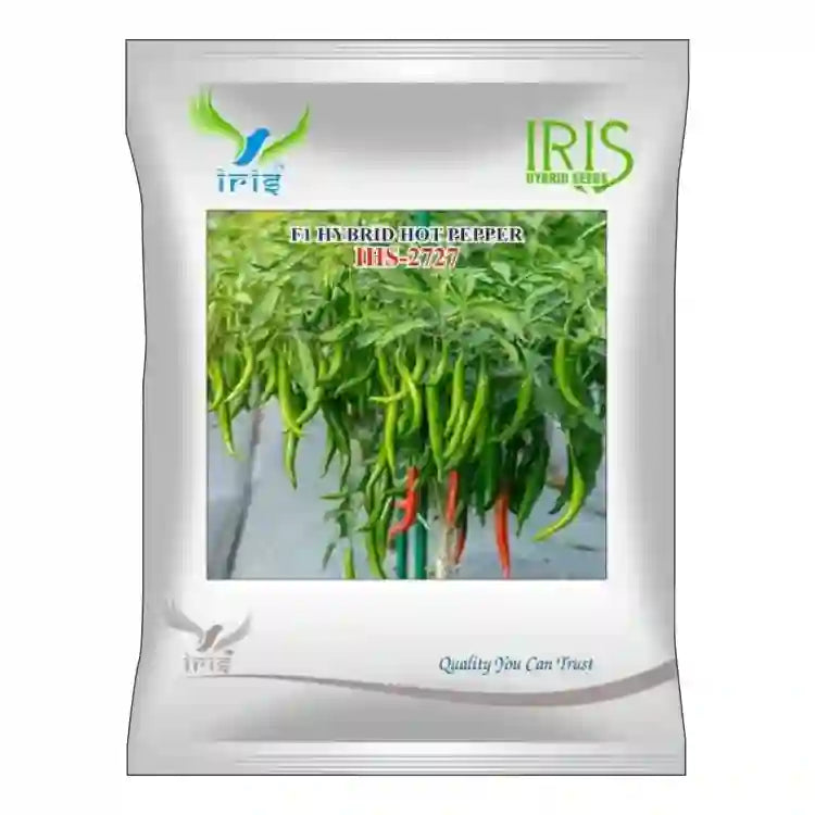 Iris F1 Hybrid IHS-2727 Hot Pepper Seeds