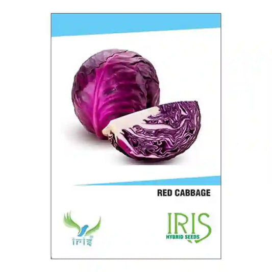 Iris F1 Red Cabbage Seeds