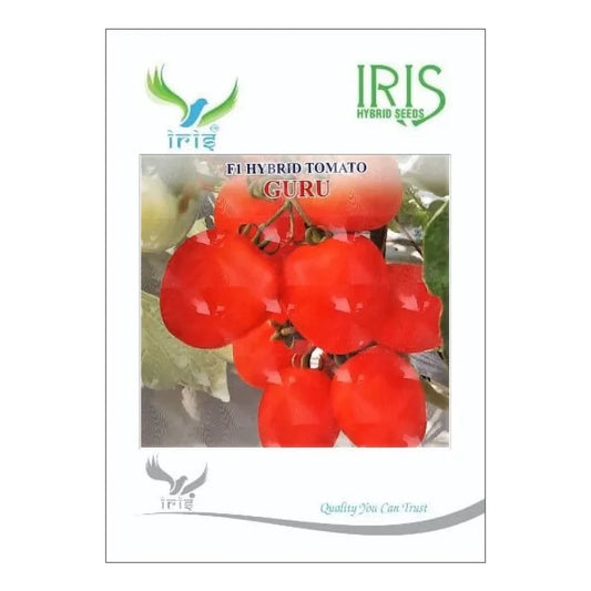 आइरिस गुरु F1 टमाटर के बीज | Iris Guru F1 Tomato Seeds