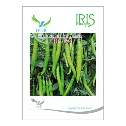 आइरिस एचपी 175 F1 गर्म मिर्च के बीज | Iris HP 175 F1 Hot Pepper Seeds
