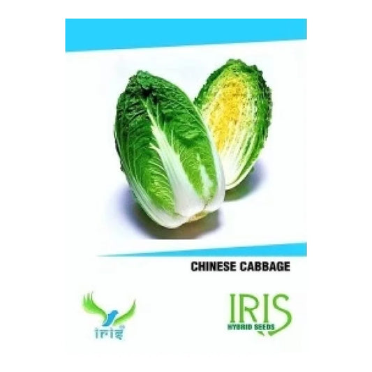 आईरिस हाइब्रिड चायनीज गोभी सब्जी बीज | Iris Hybrid Chinese Cabbage Vegetable Seeds