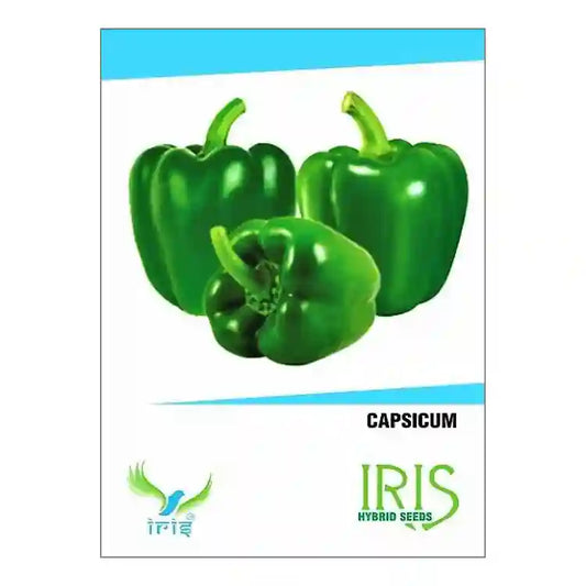 Iris Hybrid Green Capsicum Vegetable Seeds