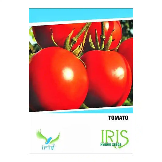 आईरिस हाइब्रिड टमाटर सब्जी बीज | Iris Hybrid Tomato Vegetable Seeds