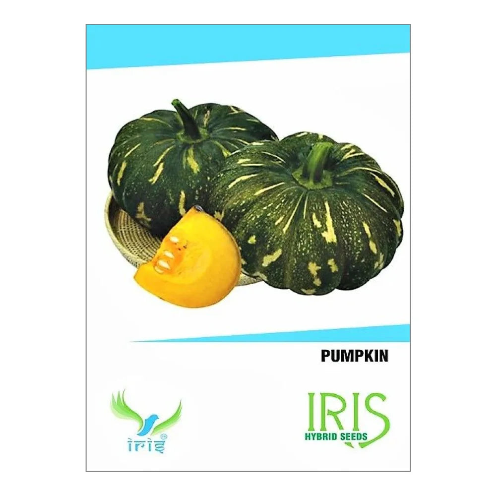 आईरिस हाइब्रिड सब्जी बीज कद्दू | Iris Hybrid Vegetable Seeds Pumpkin