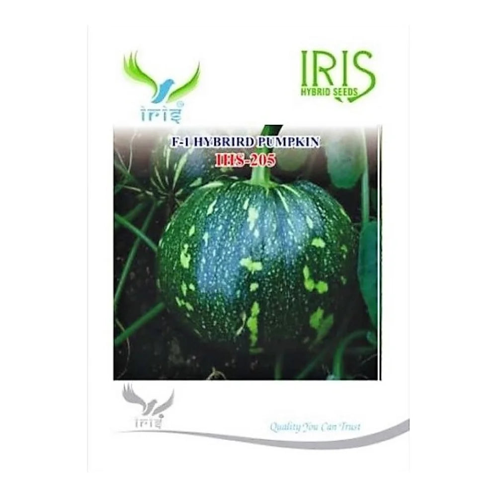 आइरिस आईएचएस 205 F1 कद्दू के बीज | Iris IHS 205 F1 Pumpkin Seeds