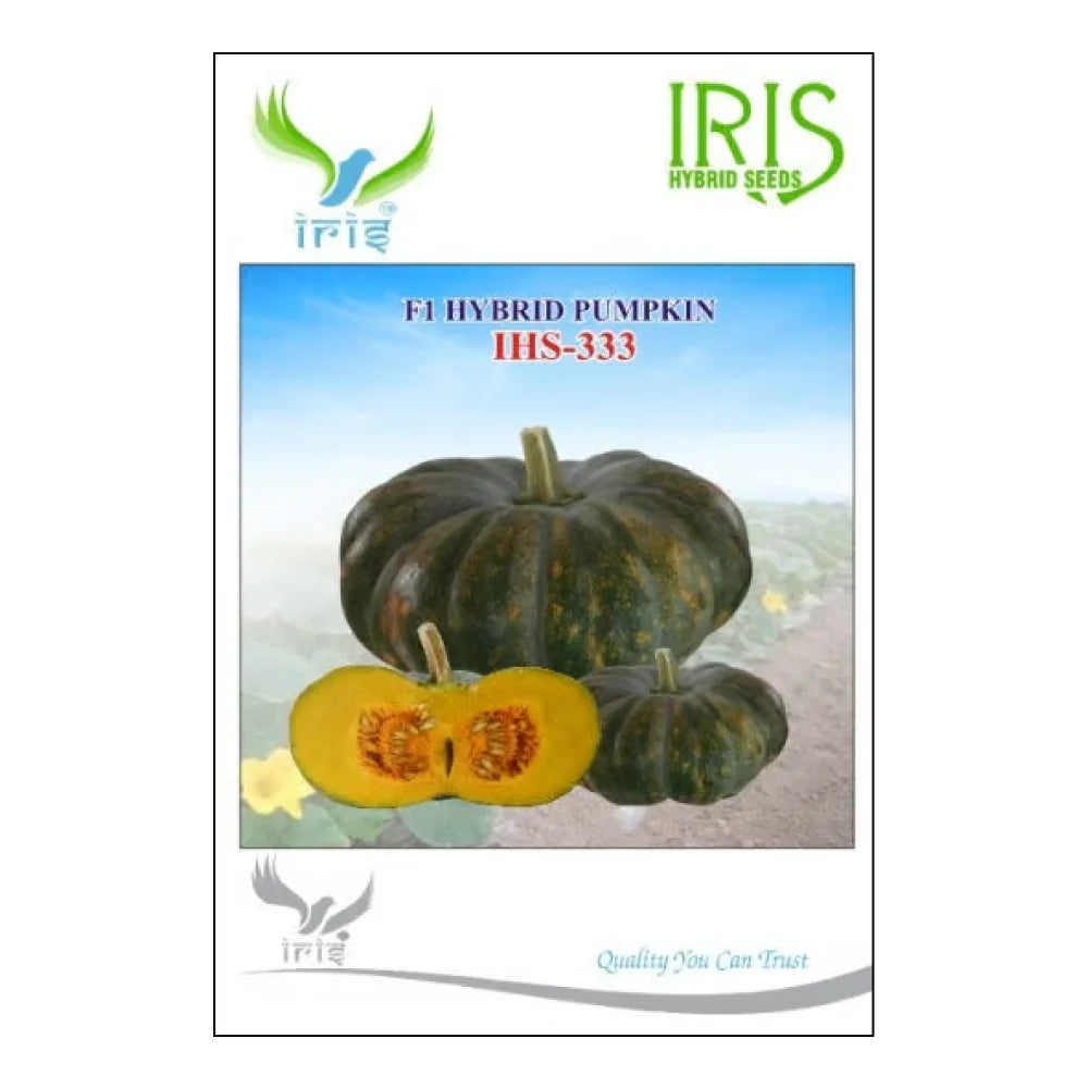 आइरिस आईएचएस 333 F1 कद्दू के बीज | Iris IHS 333 F1 Pumpkin Seeds