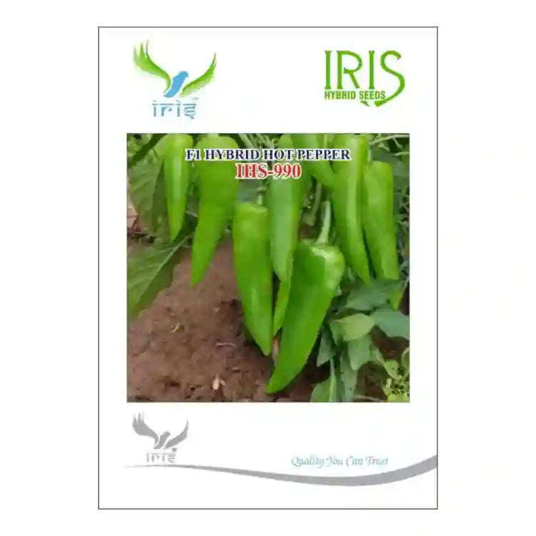 आइरिस आईएचएस 990 F1 गर्म मिर्च के बीज | Iris IHS 990 F1 Hot Pepper Seeds