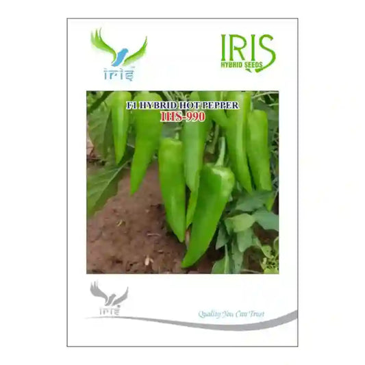 आइरिस आईएचएस 990 F1 गर्म मिर्च के बीज | Iris IHS 990 F1 Hot Pepper Seeds