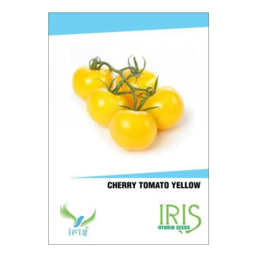 आइरिस आयातित चेरी टमाटर के पीले बीज | Iris Imported Cherry Tomato Yellow Seeds