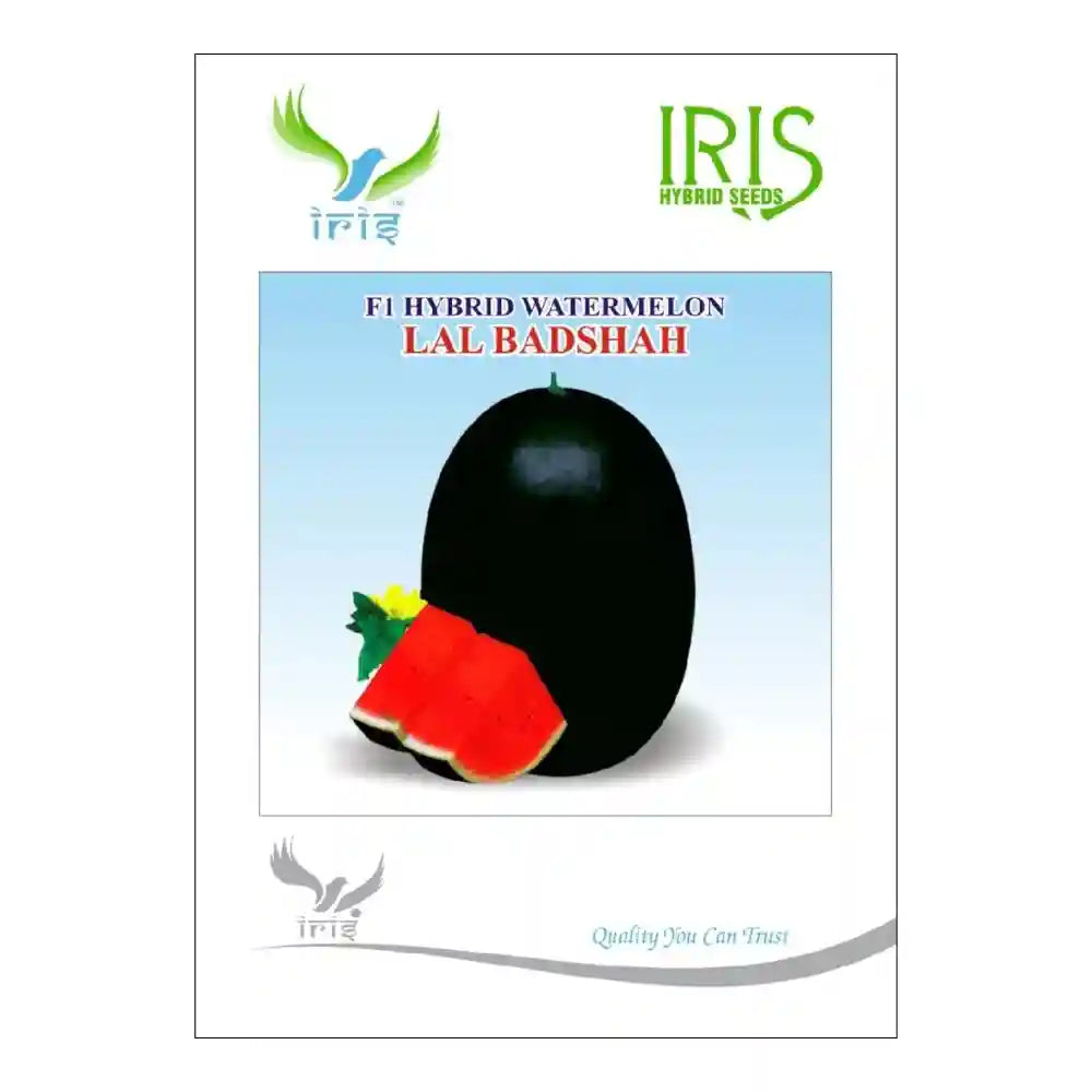 आइरिस लाल बादशाह F1 तरबूज के बीज | Iris Lal Badshah F1 Watermelon Seeds