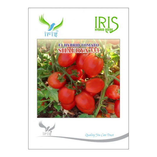 आइरिस शौर्य 333 F1 टमाटर के बीज | Iris Shaurya 333 F1 Tomato Seeds