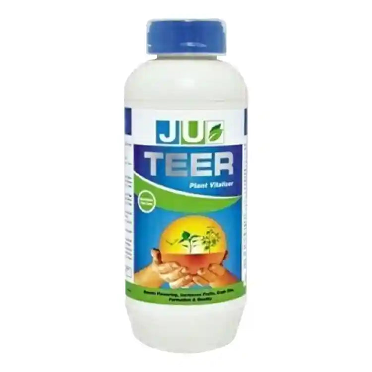 JU Teer