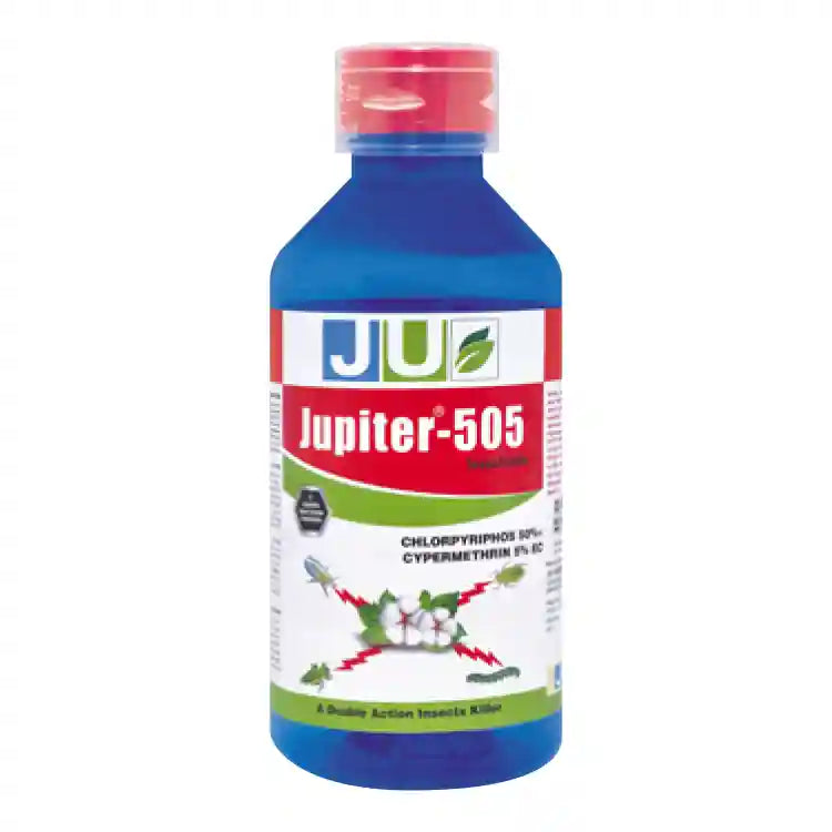 JU Jupiter  505