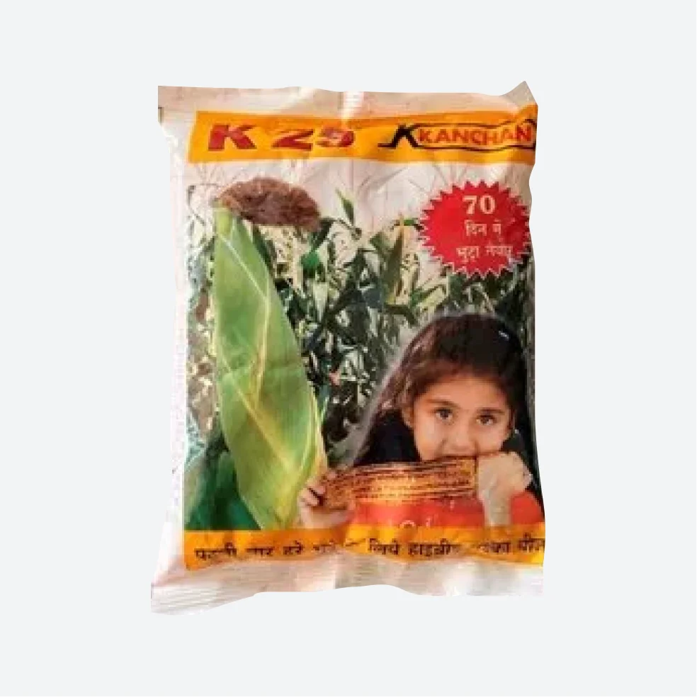 Kanchan K 25 Hybrid Maize Seeds