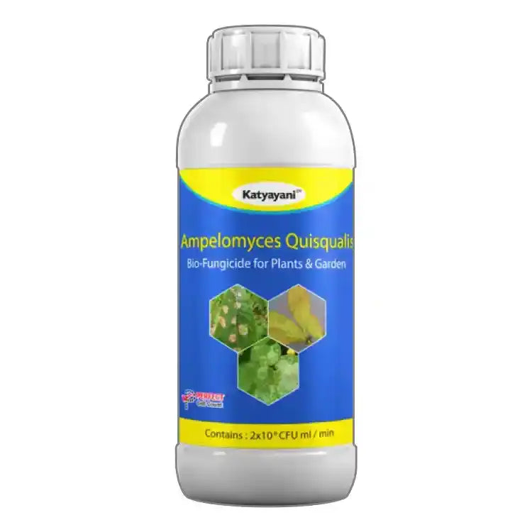 Katyayani Ampelomyces quisqualis Bio fungicide