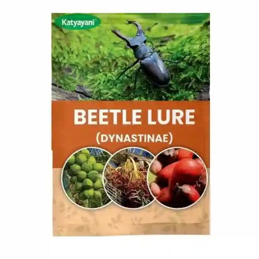 Katyayani Beetle Lure (Dynastinae)