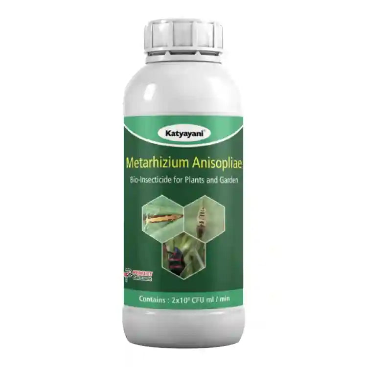 Katyayani Metarhizium anisopliae  Bio Insecticide