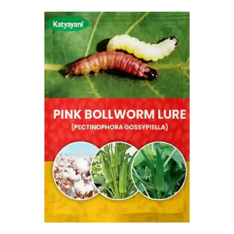 Katyayani Pink Bollworm Lure (Pectinophora Gosypiella)