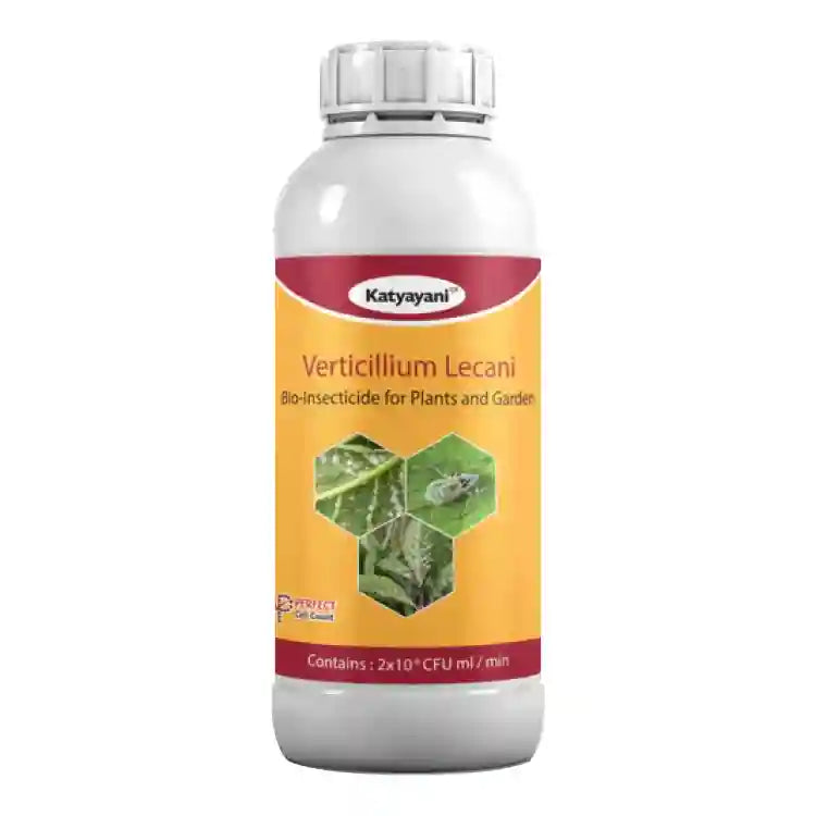 Katyayani Verticillium lecanii Bio Insecticide