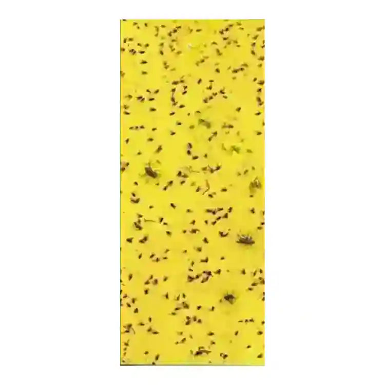 Katyayani Yellow Traps (30 cm X 12 cm)