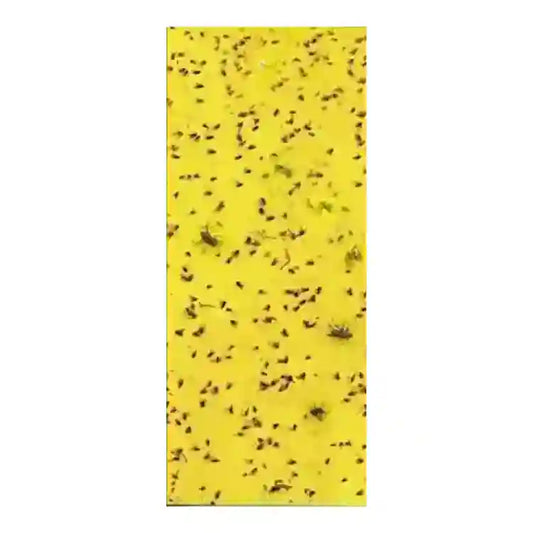 Katyayani Yellow Traps (30 cm X 12 cm)