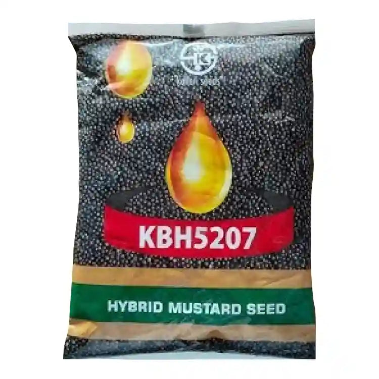 Kaveri KBH-5207 Mustard Seeds