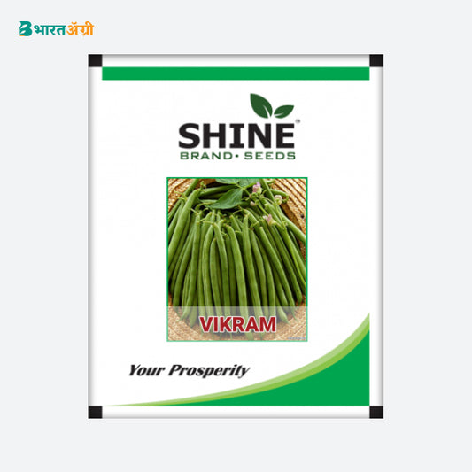 Bush Bean Vikram - Shine Brand Seeds. - BharatAgri Krushidukan_1
