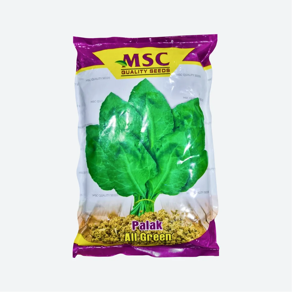 MSC All Green Palak Seeds