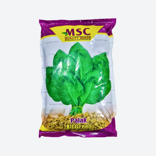 MSC All Green Palak Seeds