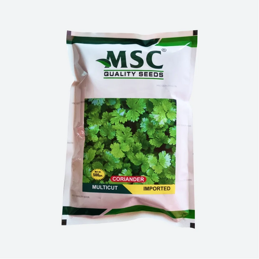 MSC Multicut Imported Coriander Seeds
