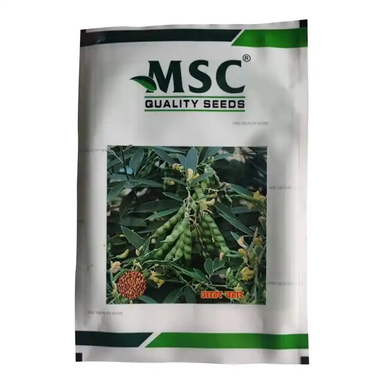 MSC Arhar Bahar Pigeon Pea Seeds