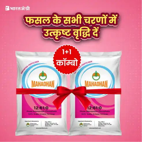 Mahadhan MAP 12:61:00 Water Soluble Fertilizer (1+1 Combo)