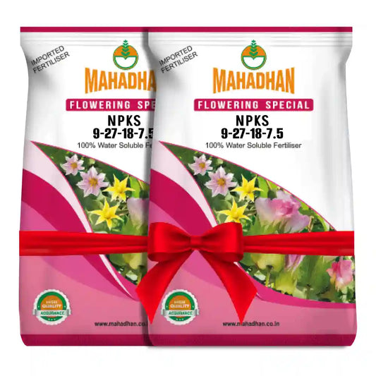 Mahadhan Flowering Special (1+1 Combo)