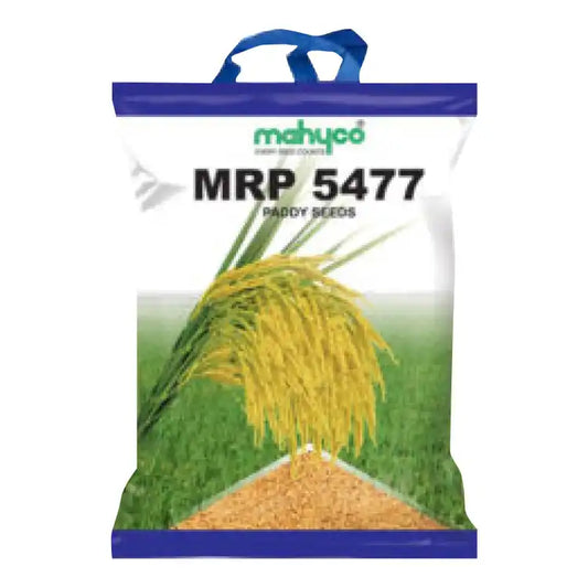 Mahyco MRP 5477 Paddy Seeds