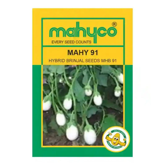 Mahyco Mahy 91 Hybrid White Brinjal Seeds