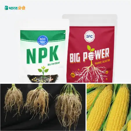 Maize Badhat Kit - Growth (0-10 days)